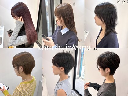 コタ(kota)の写真