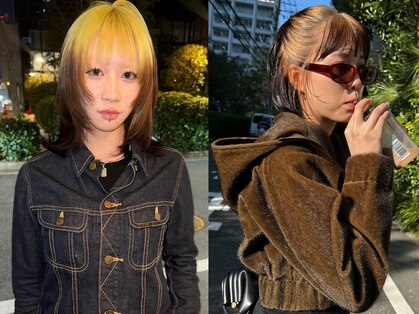 シイ(SIE)の写真