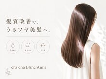 チャチャブラン アミー(cha-cha Blanc Amie)