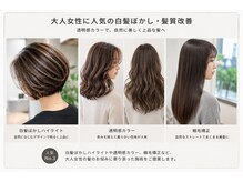 アプシー 南が丘本店(apsee)の雰囲気（大人女性に人気の白髪ぼかし・髪質改善）