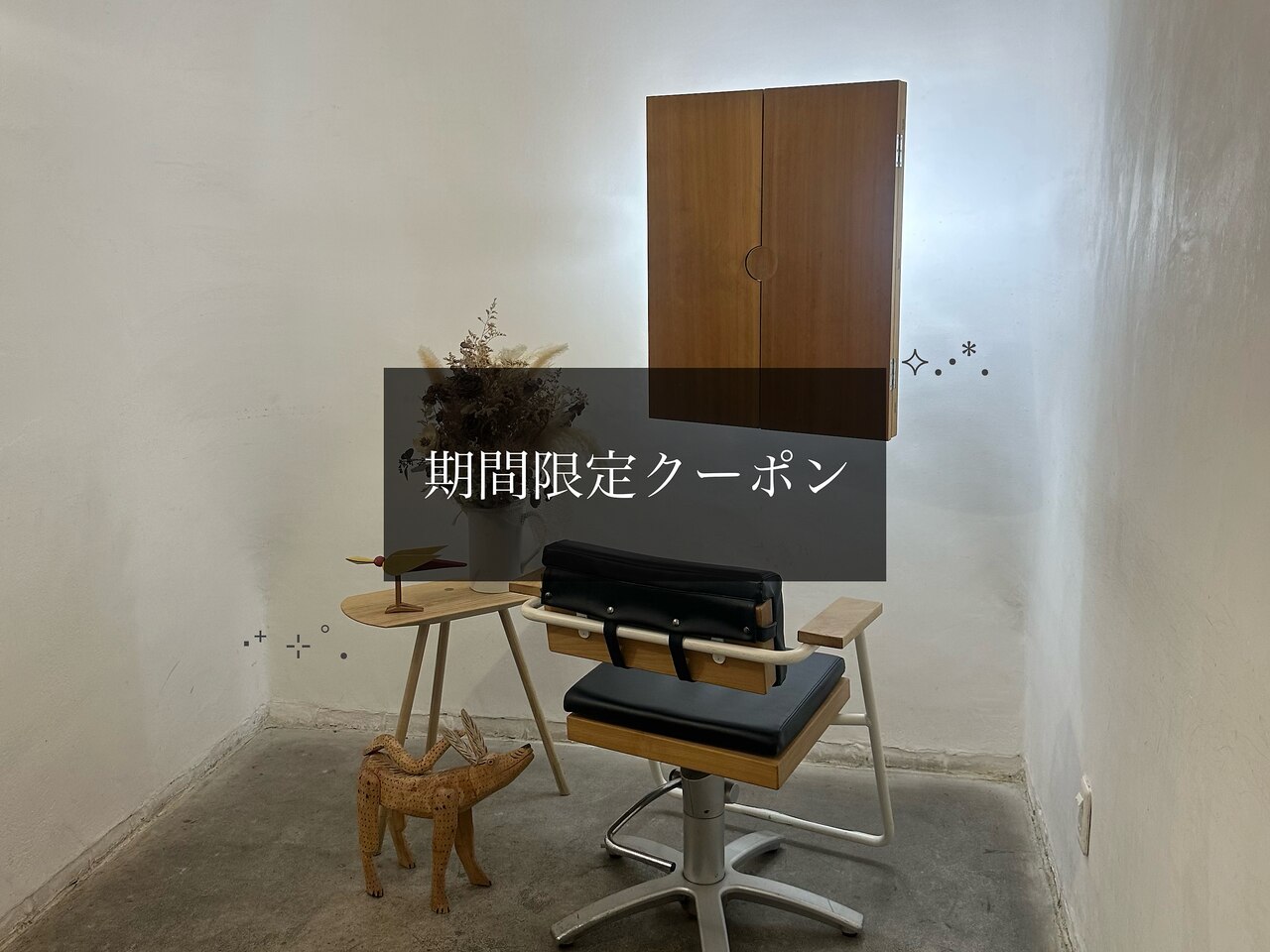↓↓ここから【期間限定クーポン】になります↓↓