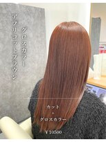 クレア 西尾店(CREA) グロスカラー×アプリコットブラウン
