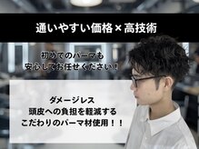 デザミ(Des Amis)の雰囲気（#メッシュ#ツイスパ#ツイスト#サーフカール#シャドウパーマ）