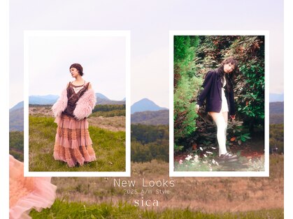 シカ(sica)の写真