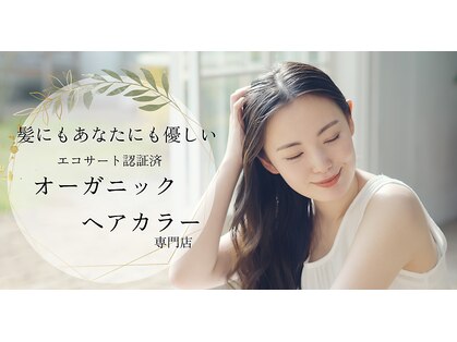 リタッチ(retouch)の写真