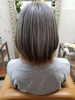 ゼットサロン(Z SALON) カラースタイル集３００　ー０４２ー　グラデーションシルバー