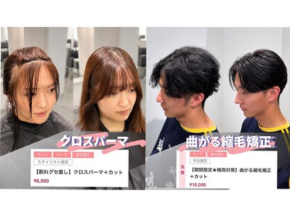 スイ(suiw)の写真