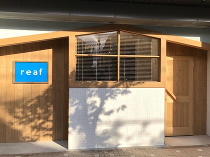 リーフ(reaf)の写真