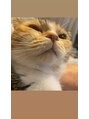ニルス(nils) もこは保護猫3匹を威嚇しながら受け入れた優しいねこです