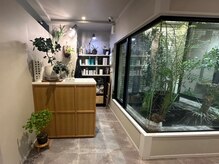 ぷうの雰囲気（店内のグリーンで癒される[広島/袋町/白髪染め/カット]）