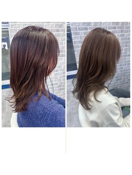 ノイ(Noy) 大人カラー