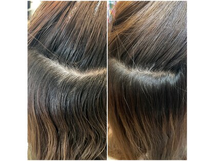 リコ(Rico)の写真