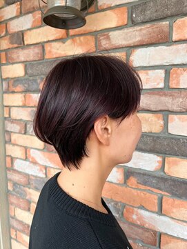 リエート(Lieto) ボルドールビー×ひし形ショート