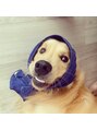レア(Le'a)&nbsp;愛犬SURF