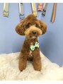 リノ 吉祥寺(Lino kichijoji) ワンちゃん飼ってます！