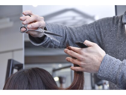 プレストヘアー(Presto hair)の写真