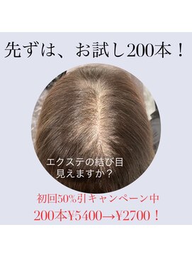 増毛エクステ専門店 エクステルーム 渋谷店(exteroom) お試し！増毛エクステヘアループ★200本！分け目のボリュームUP