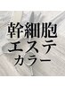 【カラー改善エステコース】カラー＋幹細胞エステ＋頭皮洗浄＋毛流改善