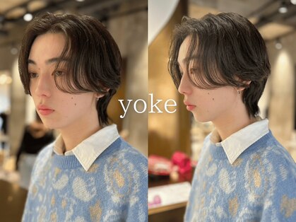 ヨーク(yoke)の写真