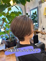ラッフィスリール(Raffee Sourire)&nbsp;白髪ぼかしハイライト