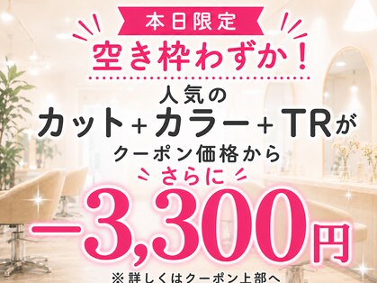 花かんざしの写真