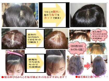 デザイナーズ ヘア リンクス 美容室リンクス(Designer's Hair LINK'S)の写真