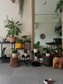 シア 綾瀬店(SHEER) 観葉植物が好きで部屋をジャングル化計画中^^