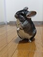スタジオシージェー(Studio CJ)&nbsp;超わがまま小僧です！でも可愛いです笑