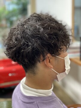 ドラセナ(Dracaena) ツイストパーマ