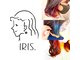 イーリス(IRIS)の写真