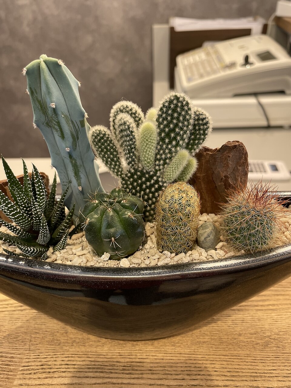 ノーマルメンズカットコース (シェービング、シャンプー付）￥4300