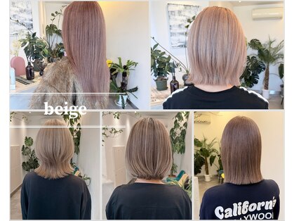 フェーディン(fa/din)の写真