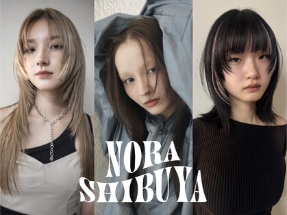 ノラ シブヤ(NORA)の写真