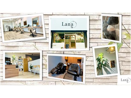 ラナ(Lana)の写真