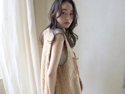 ジリー(gilly)の写真