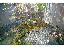 テミルヘアー(TEMIL HAIR)の雰囲気（店内から見える苔庭です。紅葉やイチョウも見れます。）
