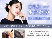 韓国でしかできなかった、VIP級の髪質改善ケアを日本で体験可能!