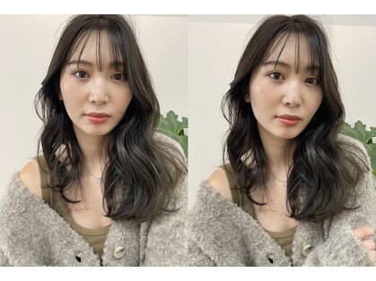 シダ(sida SAIIN)の写真