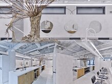 *毎月通いやすい価格設定*【トレンドヘア】×【ブリーチカラー】×【ブリーチなしカラー】×【髪質改善】