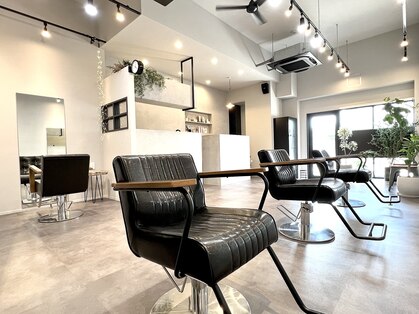 ヨゾラ(yozora)の写真