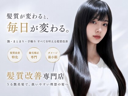 シェデルトーキョー(SHEDEL TOKYO)の写真