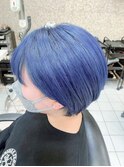 ロイヤルブルー　ハンサムショート　ブリーチ