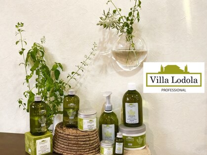 ソアレ (soare)の写真