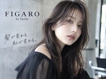 フィガロ バイ テイラー(FIGARO by Taylor)