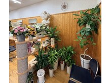 リトサミール(Ritsmr)の雰囲気(8月3日オープン♪沢山の植物達とお待ちしてます!)
