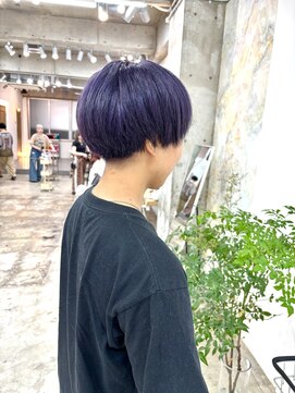 カシェル(cashel kishaba) ブルーラベンダー