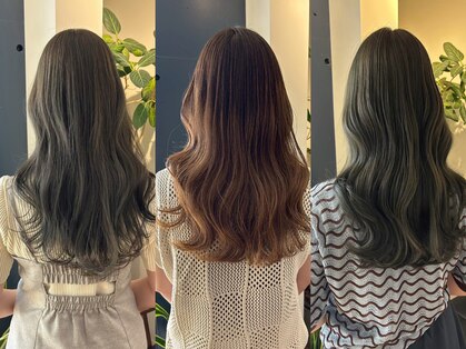 アカラ(acala)の写真