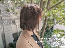 ジュンク(JUNQUE)