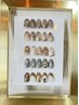 ハンドorフット 定額ネイル ¥5,000