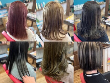 ハウオリ(hau'oli)の写真